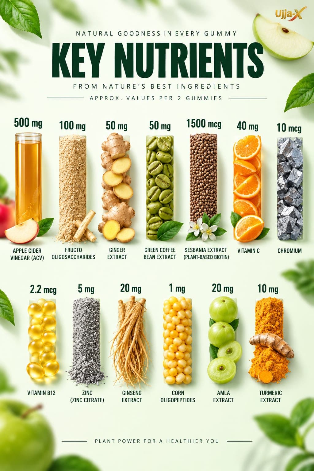 Urja-X key nutrients infographic creative